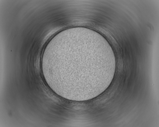 X0000111490886200908111221