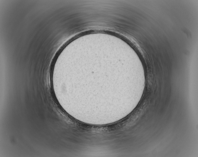 X0000111490887200908111221
