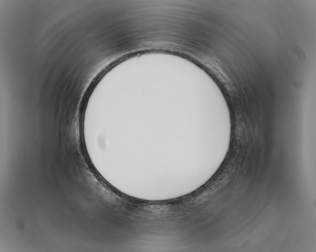 X0000111490888200908111221