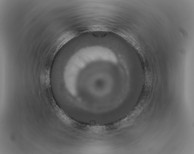 X0000111490889200908111221