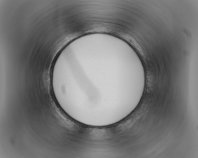 X0000111490890200908111221