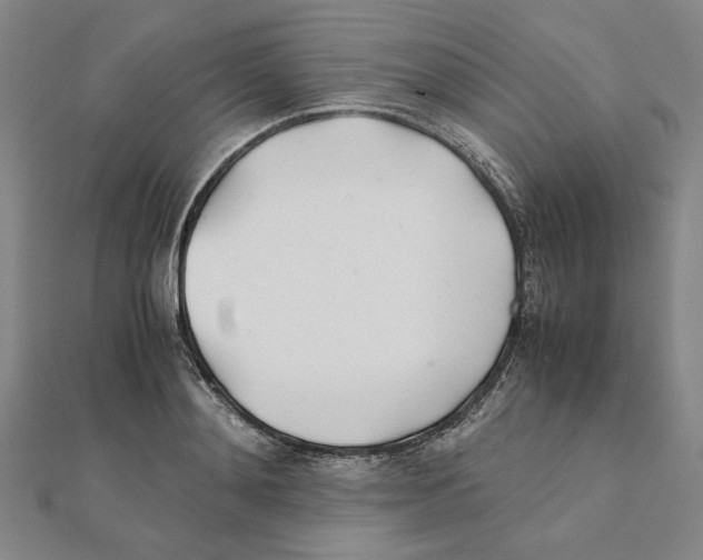 X0000111490892200908111221