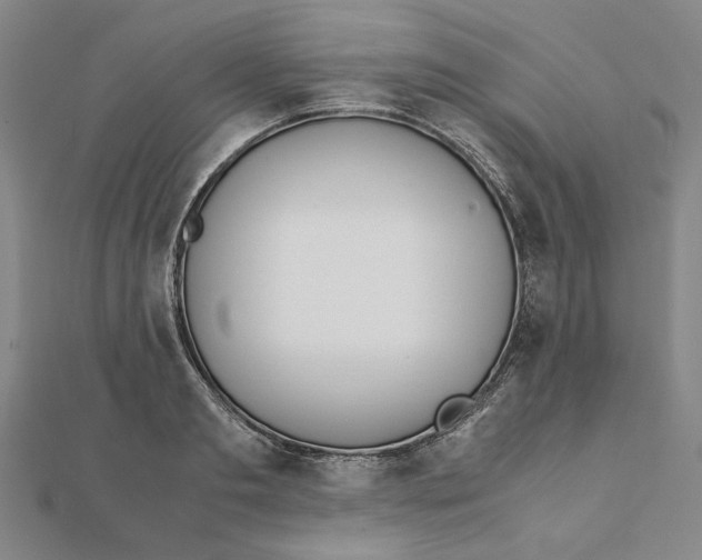 X0000111490893200908111221
