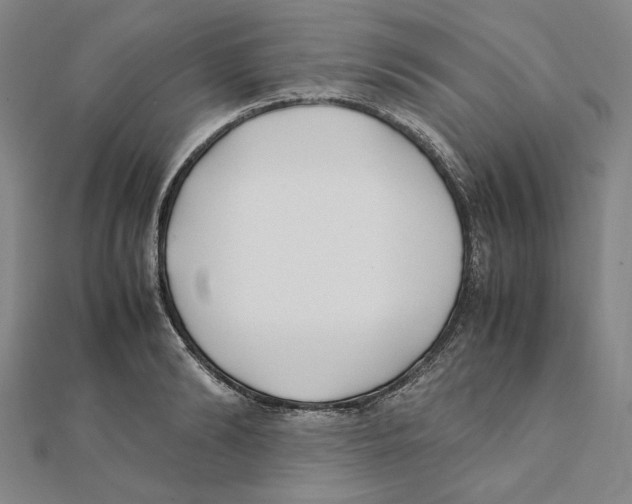 X0000111490894200908111221