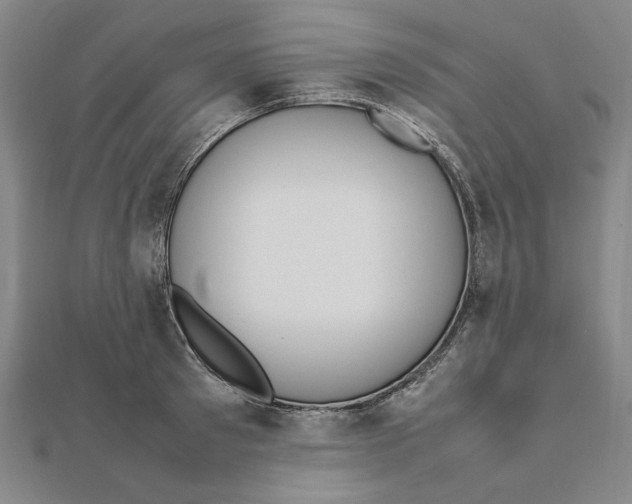 X0000111490897200908111221