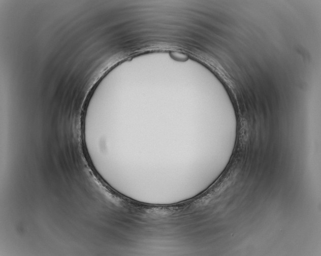 X0000111490898200908111221
