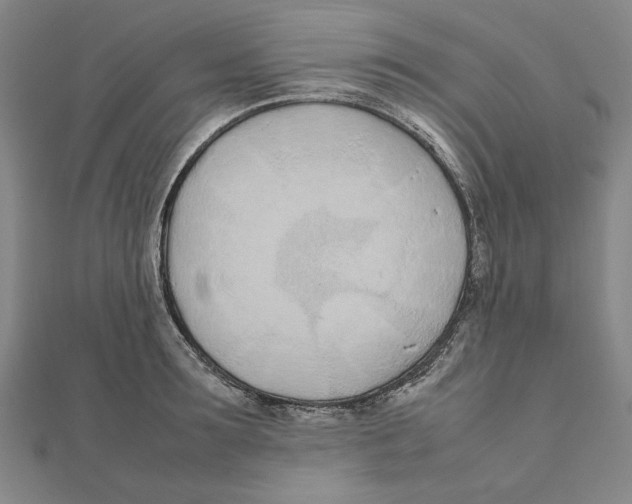 X0000111490899200908111221