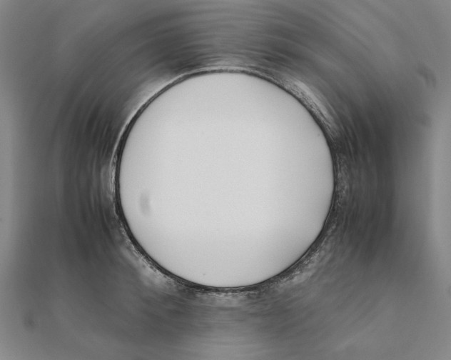 X0000111490900200908111221