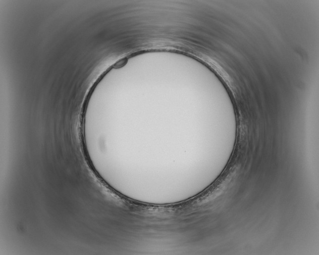 X0000111490901200908111221