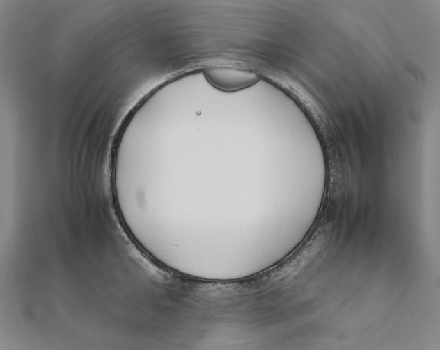 X0000111490902200908111221