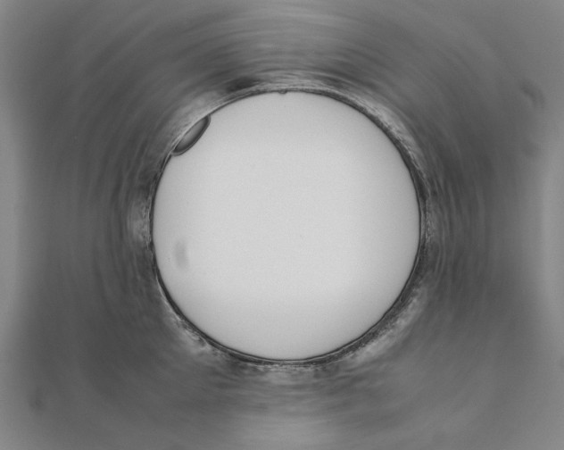 X0000111490905200908111221