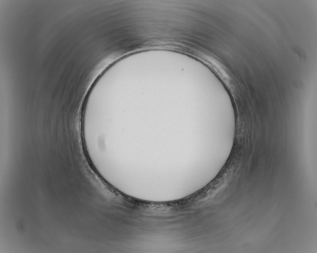 X0000111490907200908111221