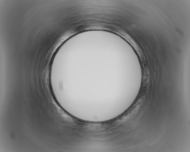 X0000111490909200908111221