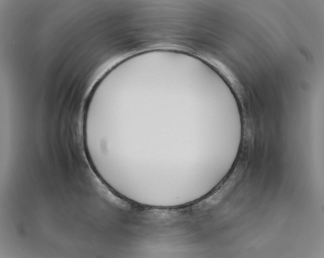 X0000111490910200908111221