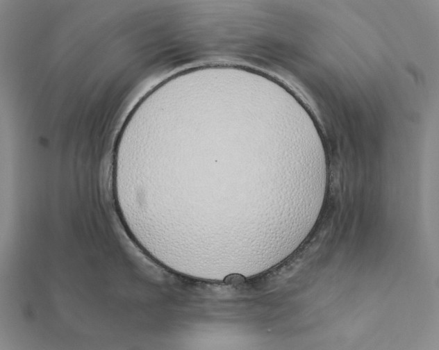 X0000111490911200908111221
