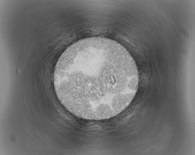 X0000111490913200908111220