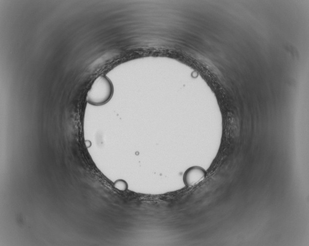 X0000111490918200908111220