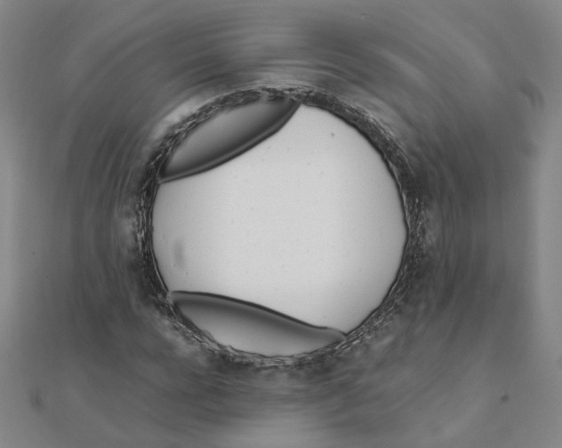 X0000111490920200908111220