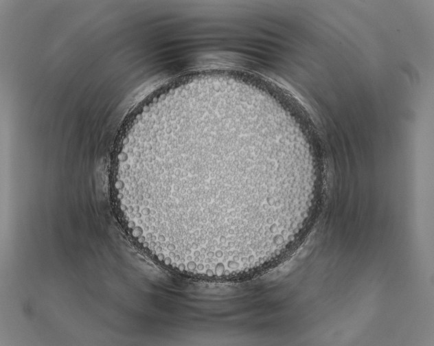 X0000111490921200908111220