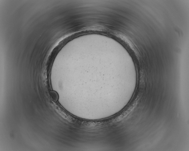X0000111490923200908111220