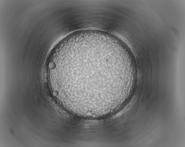X0000111490925200908111220