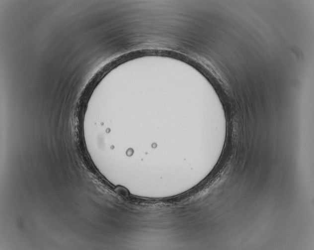 X0000111490926200908111220