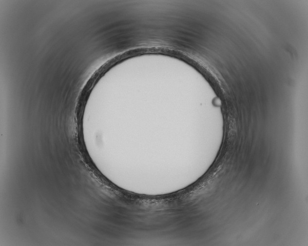 X0000111490927200908111220