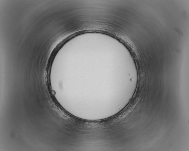 X0000111490928200908111220