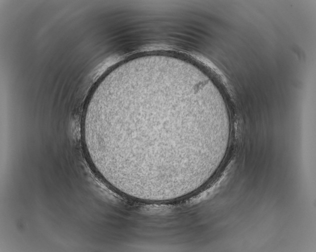 X0000111490929200908111220