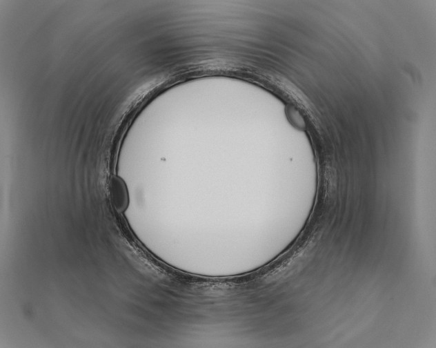 X0000111490930200908111220