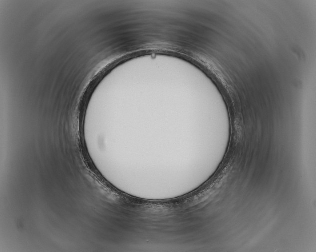 X0000111490931200908111220