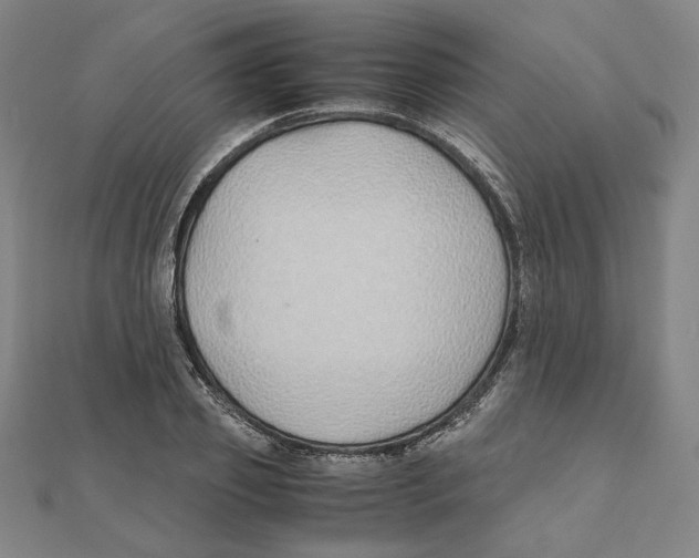 X0000111490933200908111220