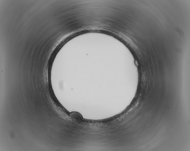 X0000111490934200908111220