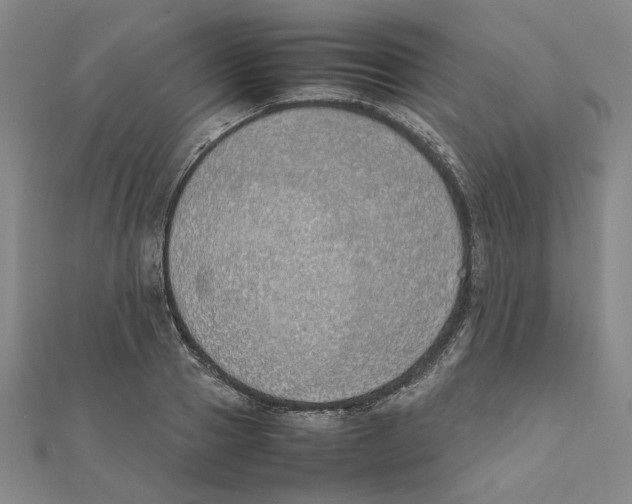 X0000111490937200908111221