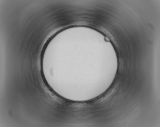 X0000111490939200908111221
