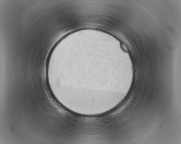 X0000111490940200908111221