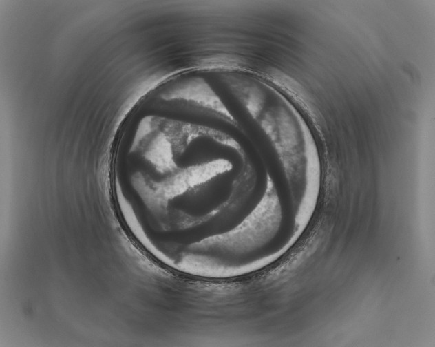 X0000111490941200908111221