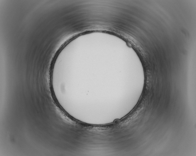 X0000111490942200908111221