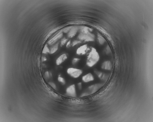 X0000111490945200908111221