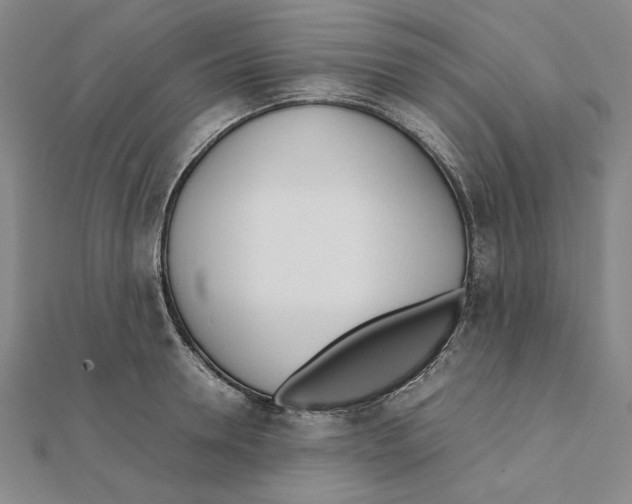 X0000111490946200908111221
