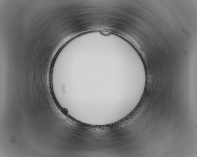X0000111490947200908111221