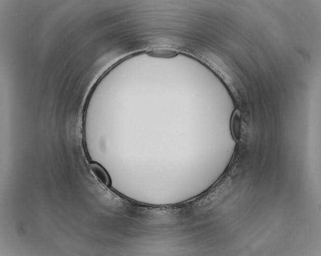 X0000111490948200908111221