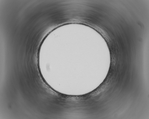 X0000111490950200908111221