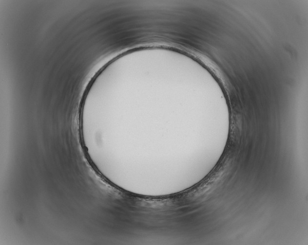 X0000111490951200908111221