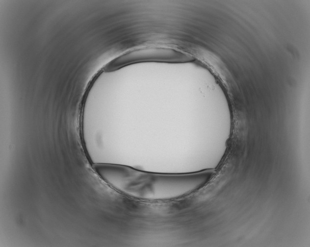 X0000111490952200908111221