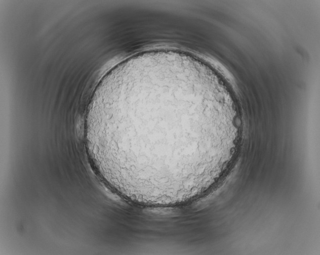 X0000111490953200908111221