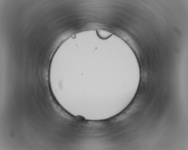 X0000111490954200908111221