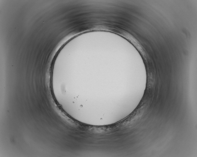 X0000111490955200908111221