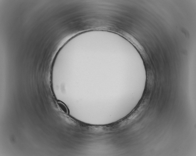 X0000111490956200908111221