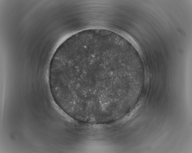 X0000111490958200908111221